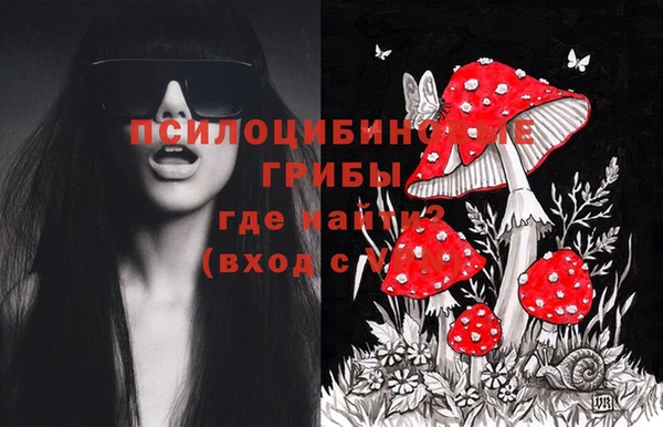 бошки Надым