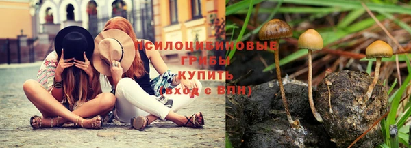 бошки Надым