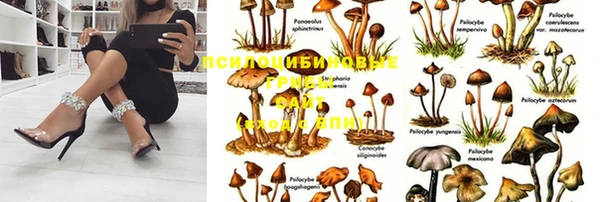 трава Навашино